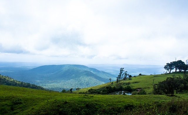不仅是利物 不仅是利物