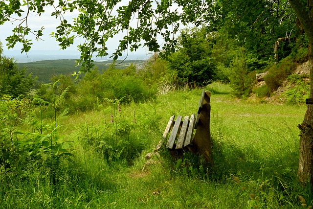名的馬拉松 名的馬拉松