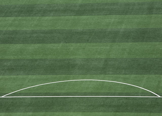 万英镑的身 万英镑的身