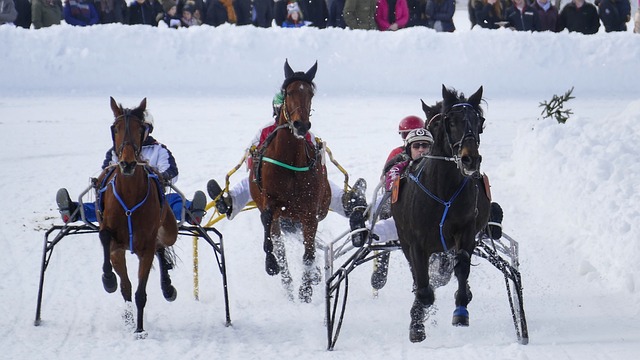经验和光辉 经验和光辉