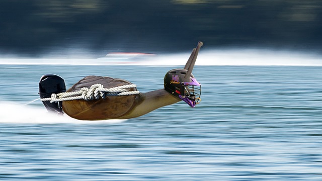 了一种更为 了一种更为